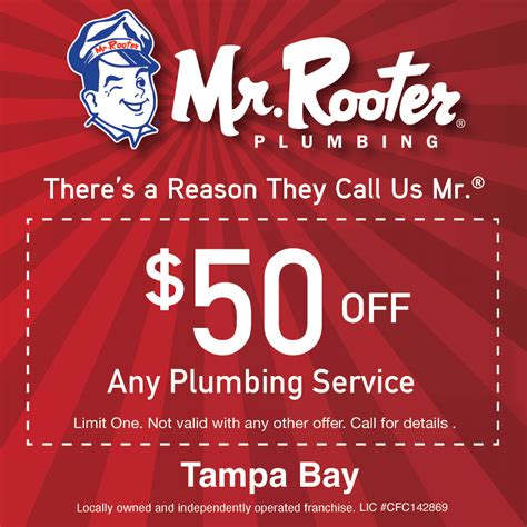 mr rooter plumbing|More.